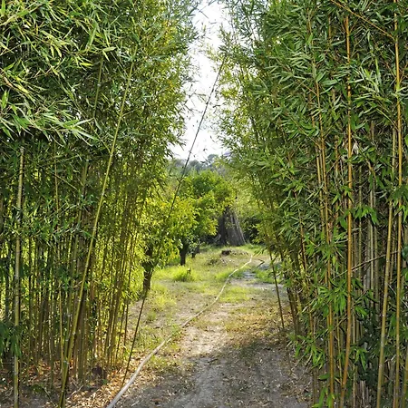 Casa vacanze In Near
