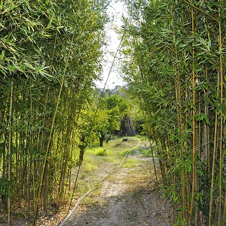 In Near Casa vacanze